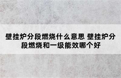 壁挂炉分段燃烧什么意思 壁挂炉分段燃烧和一级能效哪个好